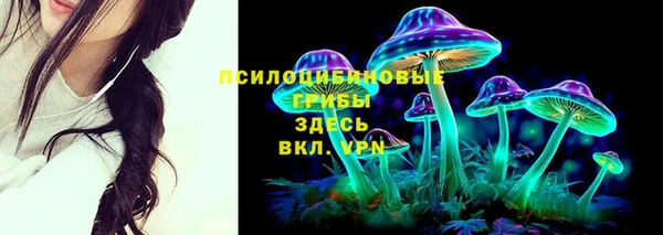 а пвп мука Алзамай