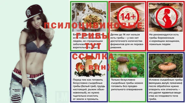 a pvp Алексин