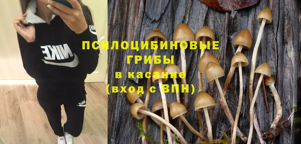 гидра Абинск