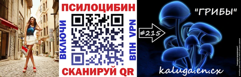 купить закладку  Павловский Посад  Псилоцибиновые грибы ЛСД 
